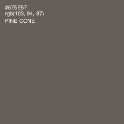 #675E57 - Pine Cone Color Image